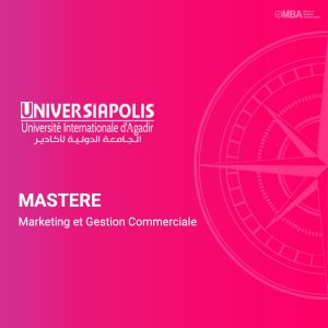 Master en marketing et gestion commerciale - Universiapolis