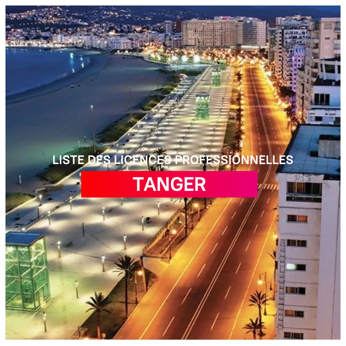 Liste des licences professionnelles à Tanger l mba.ma